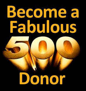 Fabulous 500 Donor